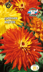 Семена цинния ацтек, детальное фото