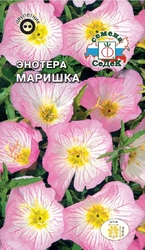 Цветок Энотера Маришка, вид