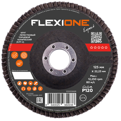 Шлифовальный круг конический FLEXIONE Expert P120 125 мм 1 шт, картинка
