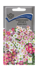 Камнеломка Арендса Флорал карпет 0,01гр, детальное фото
