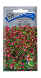 Камнеломка Арендса Пурпурный ковер 0,01гр, вид