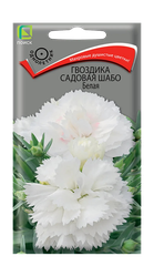 Гвоздика садовая Шабо Белая 0,1гр, картинка