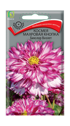 Космея Махровая кнопка Биколор Виолет 0,1гр, изображение