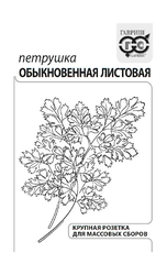 Семена ФЛАГМАН Петрушка Обыкновенная листовая 1г, вид