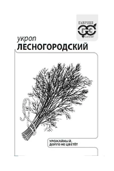 Семена ФЛАГМАН укропа Лесногородский 1г, крупный план