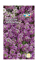Цветок СЕДЕК Алиссум Версаль пурпурно-фиолетовый Евро 0,1, вид