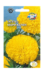 Семена, фотография