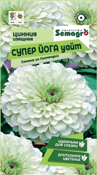 Семена Циннии изящной SEMAGRO Супер Йога Уайт 20 шт, фотография