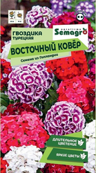 Семена Гвоздики турецкой SEMAGRO Восточный ковёр 0,3 г, крупный план