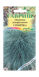 Овсяница Синичка, декоративная (сизая ледниковая) 0,1 г серия Альпийская горка, крупный план
