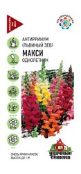 Антирринум (Львиный зев) Макси, (микс) 0,05 г Уд. с., вид