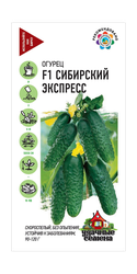 Огурец Сибирский экспресс 10 шт. Уд. с., детальное фото