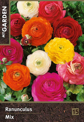 Луковицы MY GARDEN Лютик, микс, 15шт, изображение