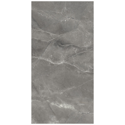 Керамогранит ARCADIA CERAMICA Палпис Неро Лаппато серый карвинг+лапато 60x120 см 1,44 м2, крупный план