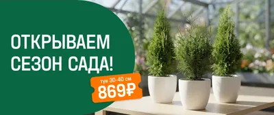 Открываем сезон сада