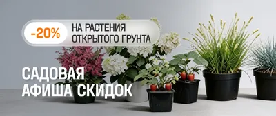 Садовая афиша скидок