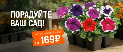 Порадуйте ваш сад