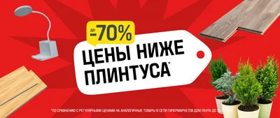 Цены ниже плинтуса