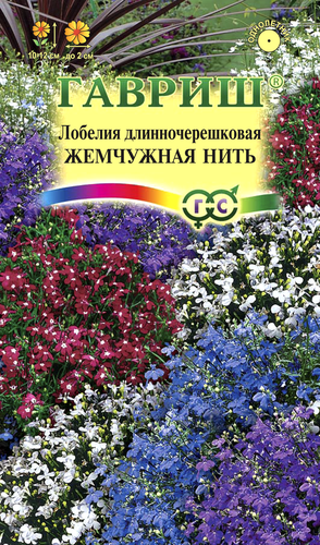 Семена ГАВРИШ Лобелия Жемчужная нить, Арт. 1026998892, 0,01г, крупный план
