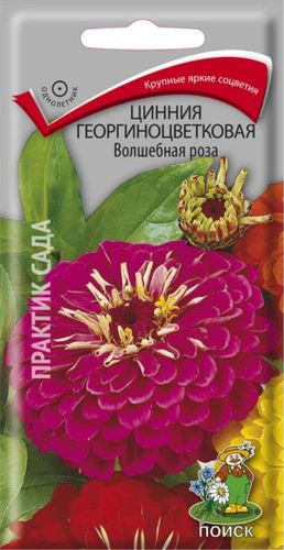 Семена ПОИСК Цинния георгиноцветковая Волшебная роза ЦВ, изображение