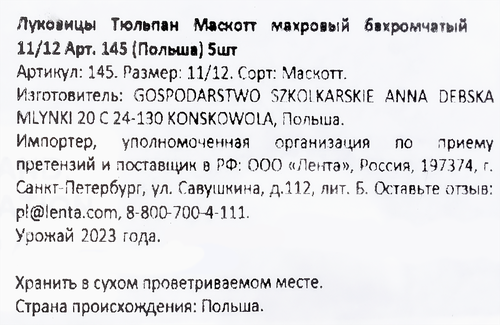 Луковицы Тюльпан Маскотт махровый бахромчатый 11/12, Арт. 145, 5шт, детальное фото