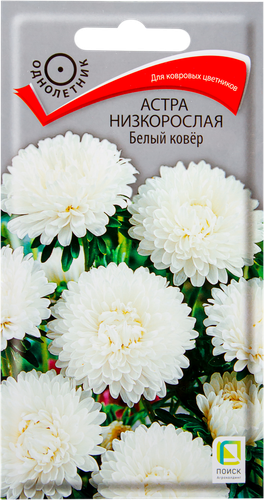 Семена ПОИСК Астра низкорослая Белый ковер, 0,2г, вид