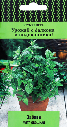Семена ПОИСК Мята овощная Забава, 20шт, изображение
