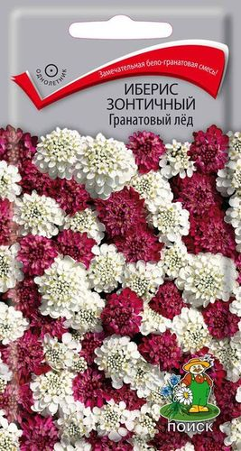 Семена ПОИСК Иберис зонтичный Гранатовый лед, фото
