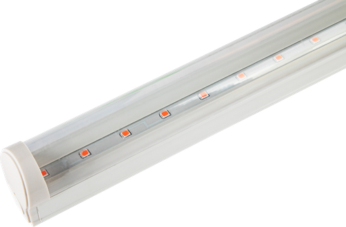 Светильник для растений JAZZWAY светодиодный PPG T8i-900 Agro 12W IP20, изображение