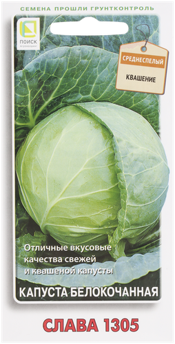 Семена овощей ПОИСК Капуста белокочанная Слава 1305, крупный план