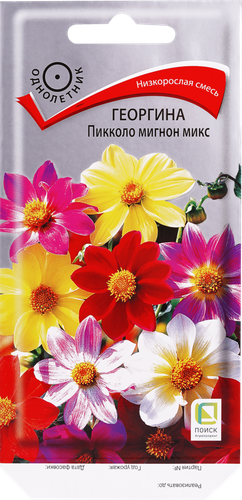 Семена ПОИСК Георгина Пикколо мигнон, микс, 1,3г, крупный план