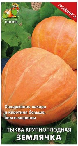 Семена ПОИСК Авторские сорта и гибриды, Тыква крупноплодная Землячка, 10г, фотография