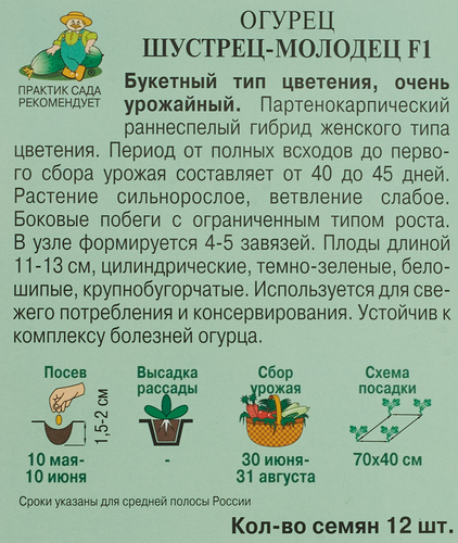 Семена ПОИСК Авторские сорта и гибриды, Огурец Шустрец-молодец F1, 0,2г, фото
