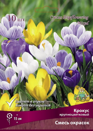 Луковица Поиск Крокусы крупноцветковые Смесь окрасок в капере, 10шт, картинка