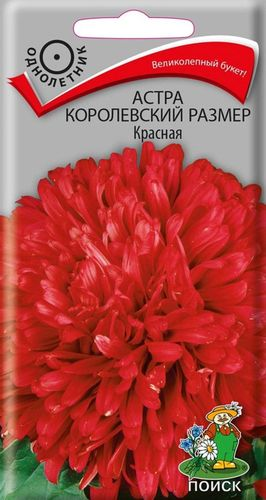 Семена ЦВЕТЫ ЦВ Астра Королевский размер, красная, 1г, детальное фото