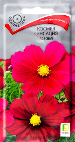 Семена ЦВЕТЫ ЦВ Космея Сенсация, красная, 0,3г, фото