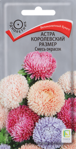 Семена ПОИСК Астра Королевский размер, смесь окрасок, 0,1г, изображение