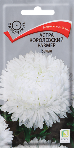 Семена ПОИСК Астра Белая, 0,1г, картинка