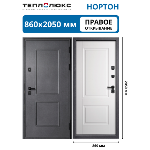 Дверь металлическая ТЕПЛОЛЮКС Нортон 860х2050 Пр цв. мет / белый мат, детальное фото