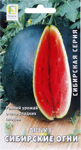 Семена ПОИСК Арбуз Сибирские огни, 15шт, изображение