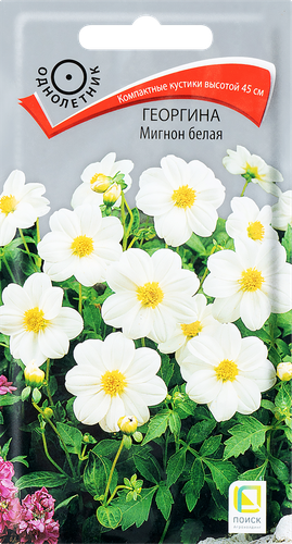 Семена ПОИСК Георгина Мигнон, белая, 0,2г, картинка