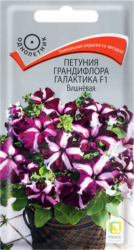 Семена ПОИСК Петуния грандифлора Галактика F1 Вишневая, 10шт, крупный план