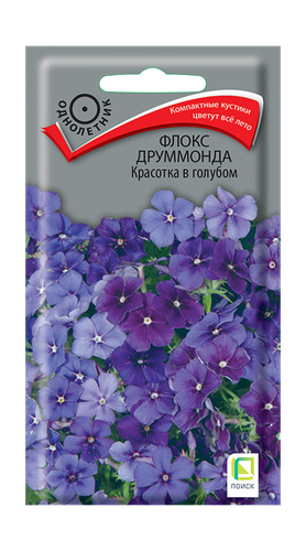 Семена ПОИСК Флокс друммонда Красотка в голубом, 0,1г, фотография