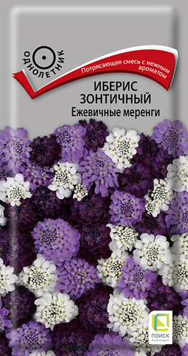 Семена ПОИСК Иберис зонтичный Ежевичные меренги, 0,1г, крупный план