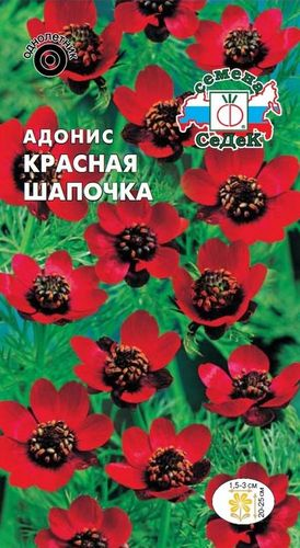 Семена Адониса СеДеК Красная шапочка 1 г, фотография