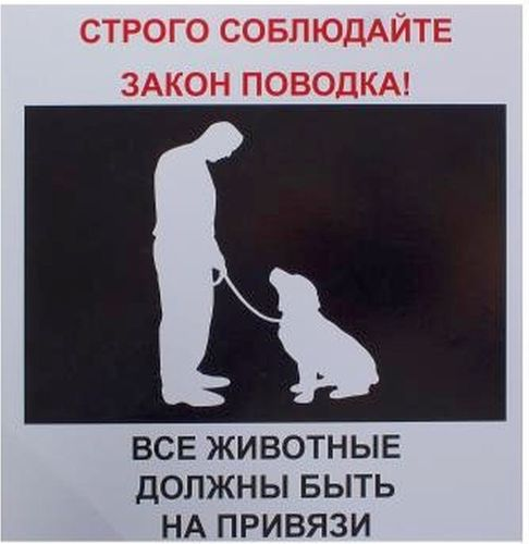 Табличка REXXON животные на привязи 20х20х0,2 см, картинка