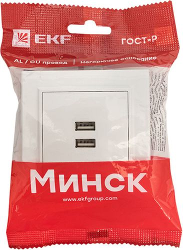 Розетка USB Type A 2 поста EKF Минск белый, крупный план