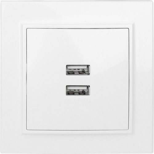 Розетка USB Type A 2 поста EKF Минск белый, фото