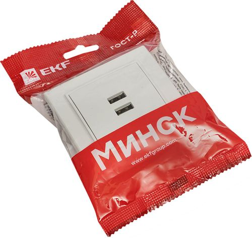 Розетка USB Type A 2 поста EKF Минск белый, детальное фото