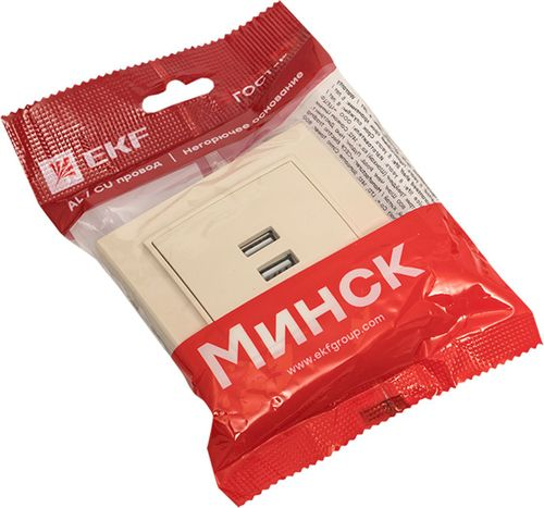 Розетка USB Type A 2 поста EKF Минск бежевый, фото